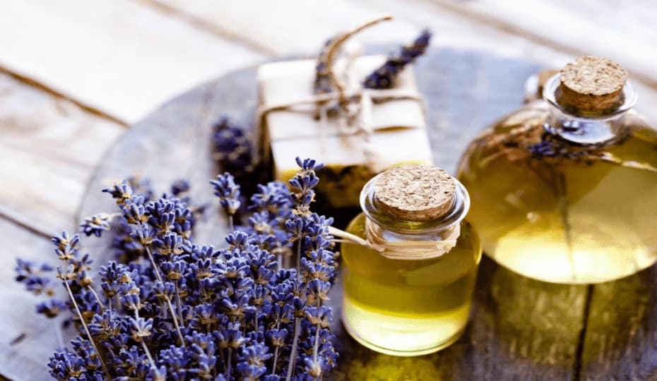 Aroma Therapy for natural healing and wellness at VSR Vriksha naturopathy wellness centre in Hyderabad