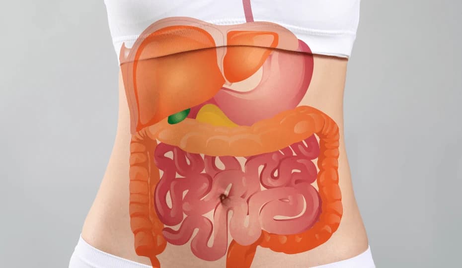 Gastrointestinal naturopathy treatment for holistic health and detox at VSR Vriksha naturopathy wellness centre in Hyderabad