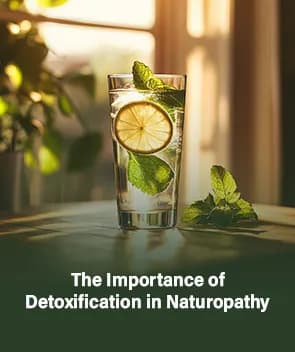 The Importance of Detoxification in Naturopathy