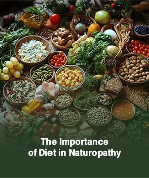 The Importance of Diet in Naturopathy