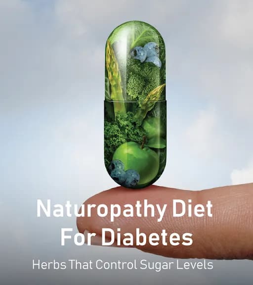 Naturopathy Diet For Diabetes - Herbs That Control Sugar Levels