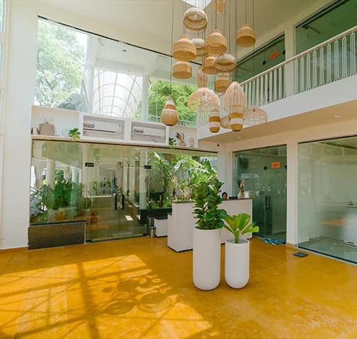 Holistic Health Treatments